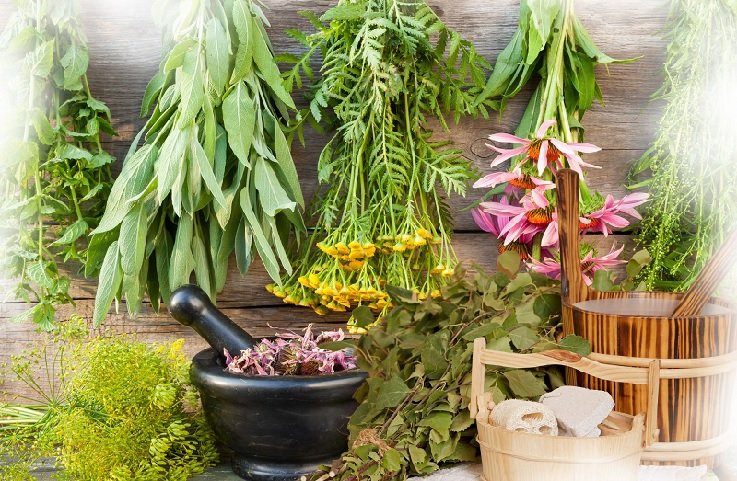 Sauna Herbal Cup 2023 - Experience sauna festival!
