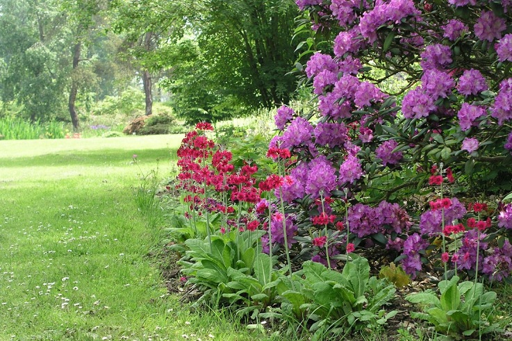 DENDROLOGICAL GARDEN